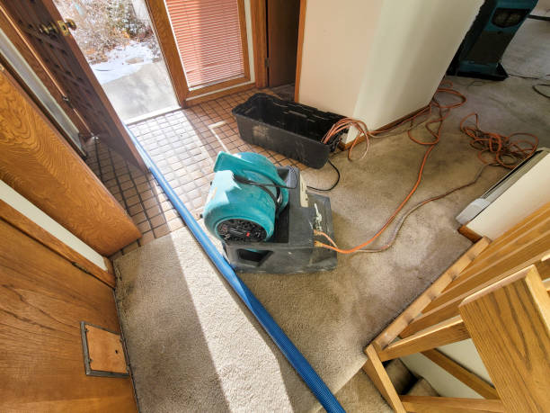  Glen Ellen, CA Water damage restoration Pros